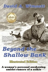 bokomslag Beyond the Shallow Bank