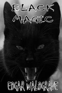 bokomslag Black Magic - The Witch Chronicles - Rise Of The Dark Witch High King - Book Two