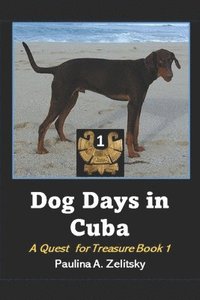 bokomslag Dog Days in Cuba
