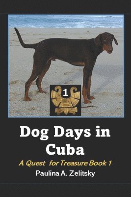 bokomslag Dog Days in Cuba