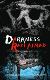 bokomslag Darkness Reclaimed