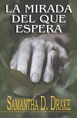 La Mirada del que Espera 1