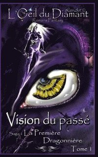 bokomslag Vision Du Pass