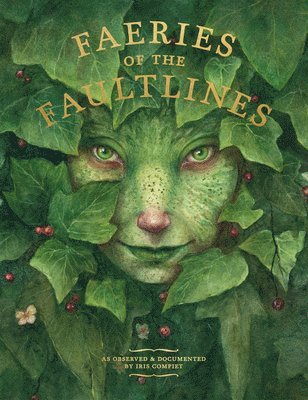 bokomslag Faeries of the Faultlines