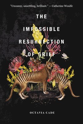 bokomslag Impossible Resurrection of Grief