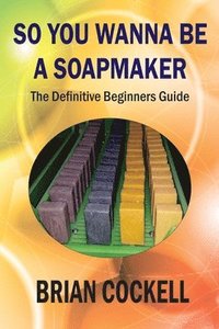bokomslag So You Wanna Be a Soapmaker