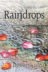 bokomslag Raindrops