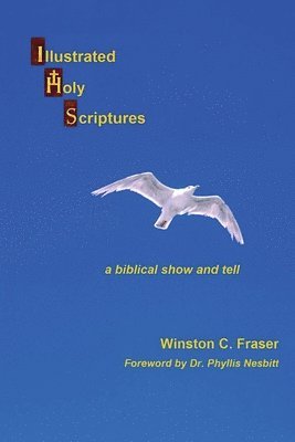 bokomslag Illustrated Holy Scriptures - a biblical show and tell