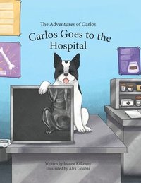 bokomslag The Adventures of Carlos