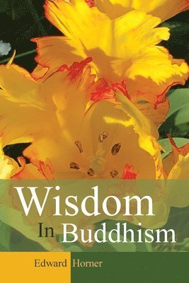 bokomslag Wisdom in Buddhism