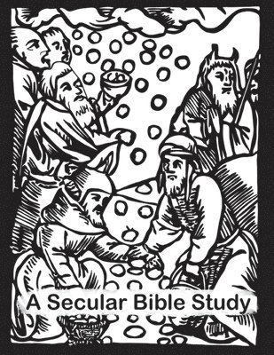 bokomslag Secular Bible Study