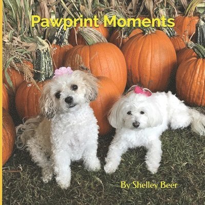 Pawprint Moments 1