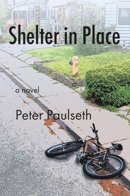 Peter Paulseth - Shelter in Place, Häftad