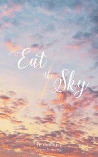 bokomslag Eat the Sky