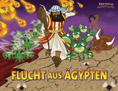 bokomslag Flucht aus gypten