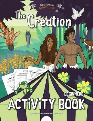 bokomslag The Creation Activity Book