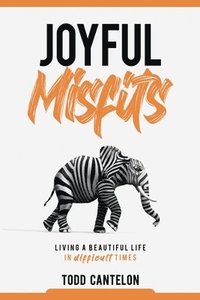 bokomslag Joyful Misfits
