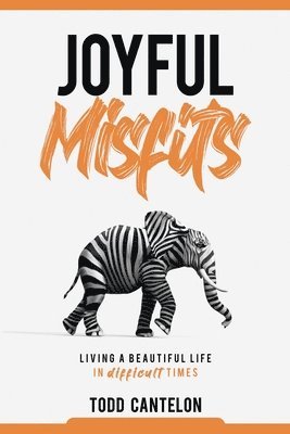 bokomslag Joyful Misfits