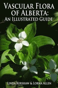 bokomslag Vascular Flora of Alberta: An Illustrated Guide