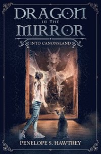 bokomslag Dragon in the Mirror