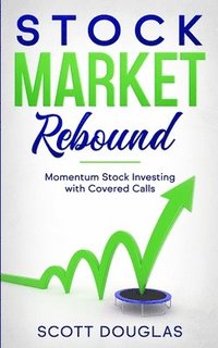 bokomslag Stock Market Rebound