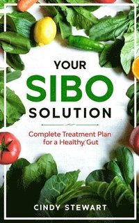 bokomslag Your SIBO Solution