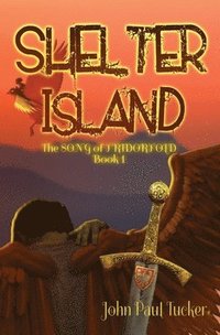 bokomslag Shelter Island