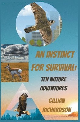 An Instinct for Survival 1