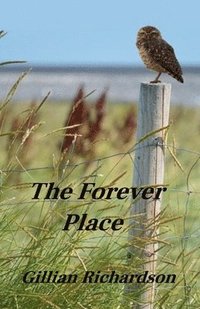 bokomslag Forever Place