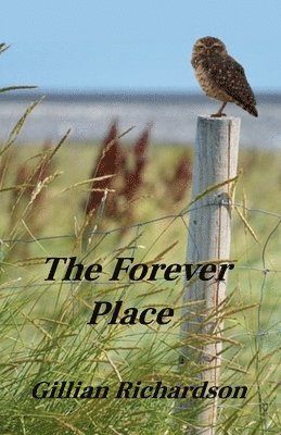 bokomslag Forever Place