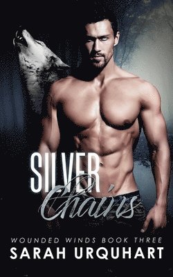 bokomslag Silver Chains
