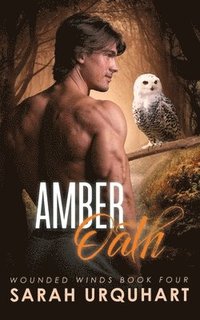 bokomslag Amber Oath