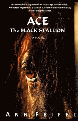 Ann Feifel - Ace, The Black Stallion, Häftad