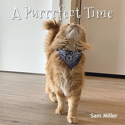 Sam Miller - Purrrfect Time, Häftad