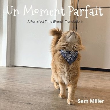 Sam Miller - Moment Parfait, Häftad