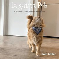 bokomslag gatita Bob - niño bebé libro prekinder Jardín infantil niña