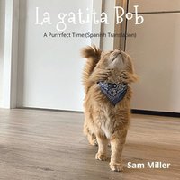 bokomslag La gatita Bob - nio beb libro prekinder Jardn infantil nia