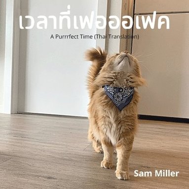 Sam Miller - เวลาที่เฟอออเฟค, Häftad