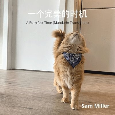 Sam Miller - 一个完美的时机, Häftad