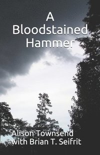 bokomslag A Bloodstained Hammer