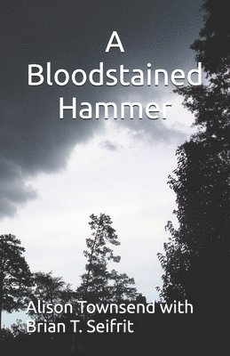 bokomslag A Bloodstained Hammer