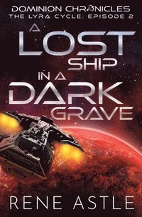 bokomslag A Lost Ship in a Dark Grave