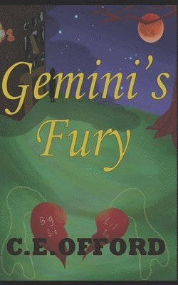 bokomslag Gemini's Fury