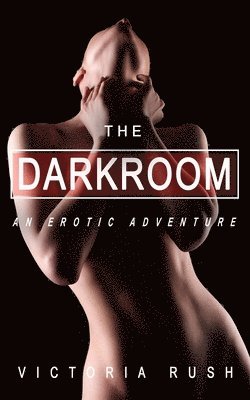 bokomslag Dark Room