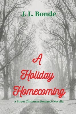bokomslag Holiday Homecoming