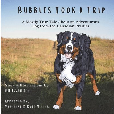 Bubbles Took a Trip 1