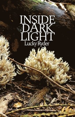 Lucky Ryder - Inside Dark Light, Häftad