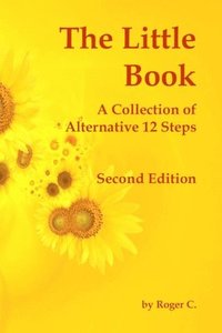 bokomslag The Little Book: A Collection of Alternative 12 Steps