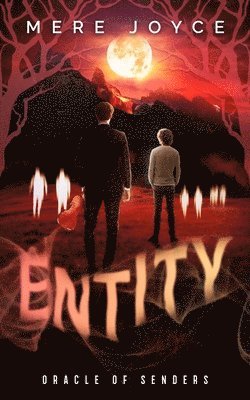 Entity 1