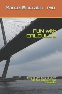 bokomslag FUN with CALCULUS